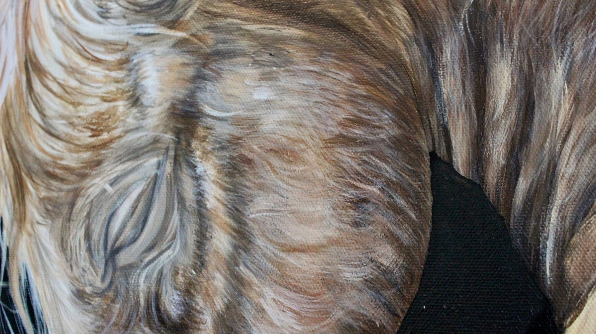 Genesis Collection | Foal Original Animal Painting