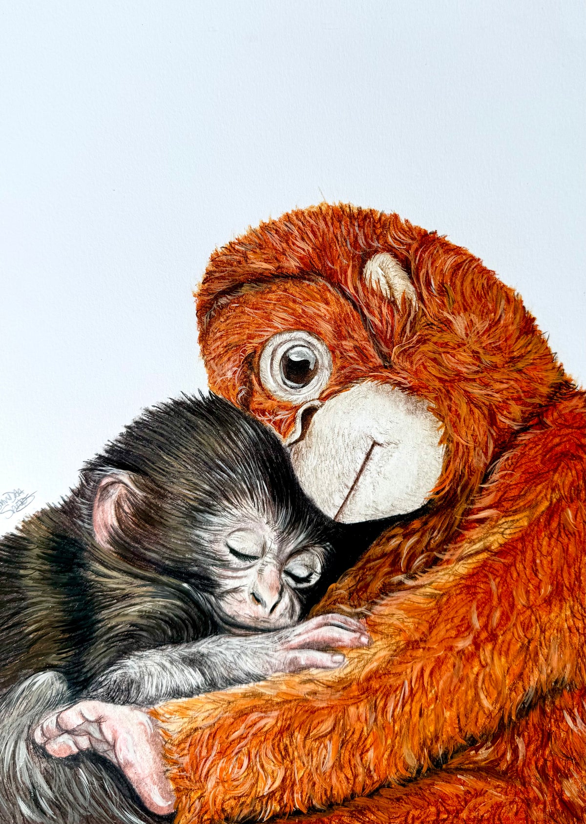 Punch — Original Colored Pencil Artwork | 9 × 12