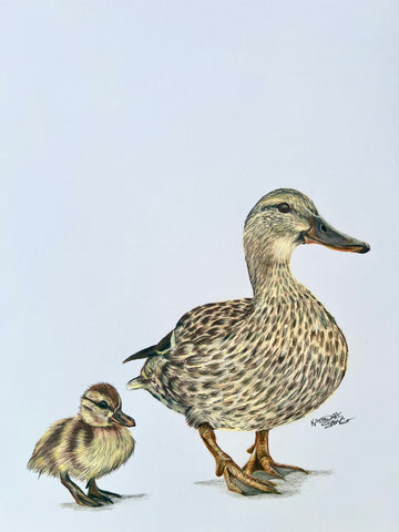 "Belle and Pixie" 11 x 14 ' Mixed Media Paper