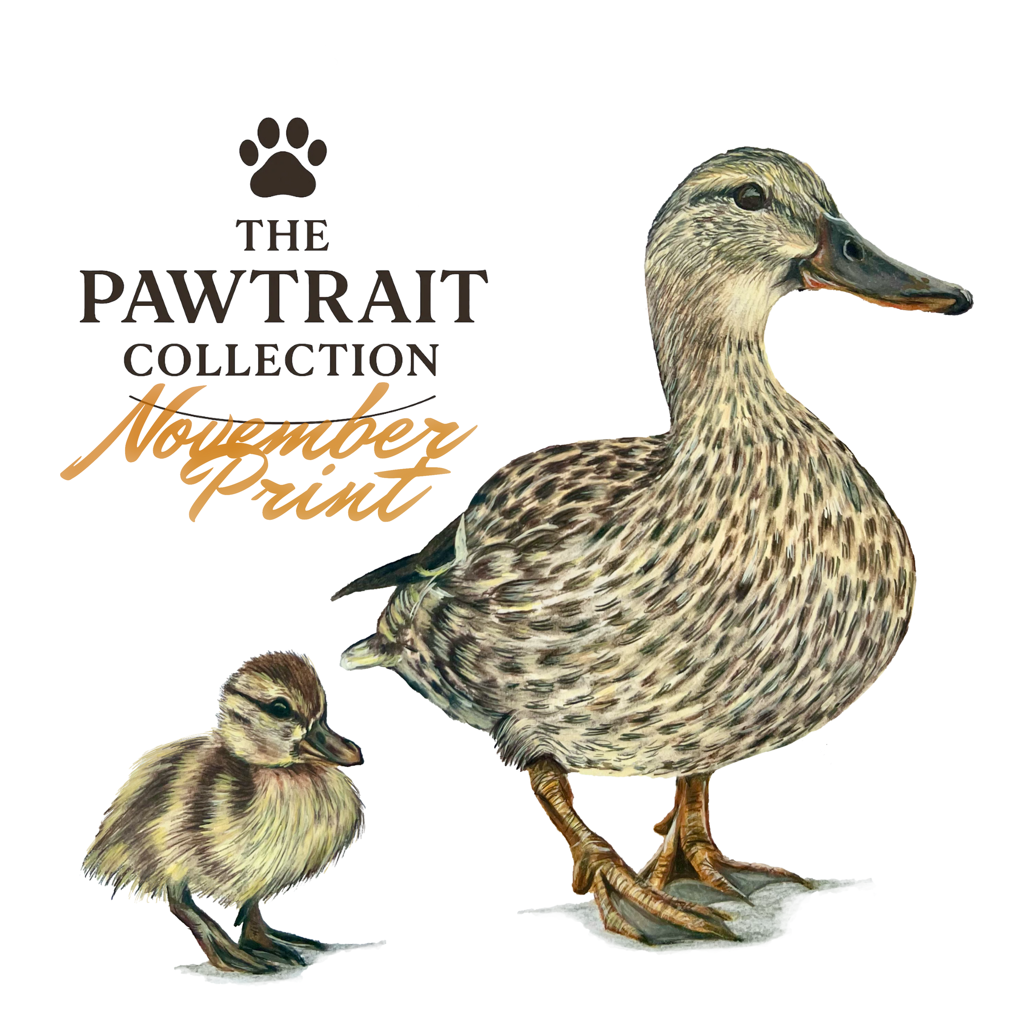 The Pawtrait Collection