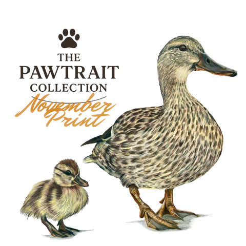The Pawtrait Collection