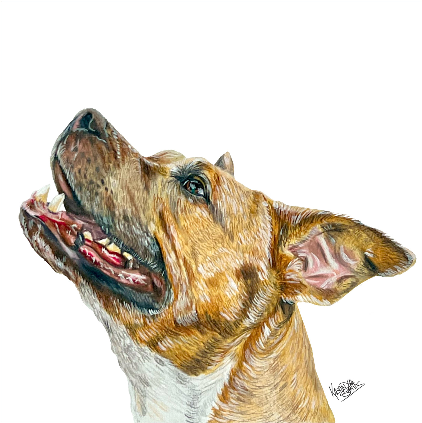 Professional Prints Available