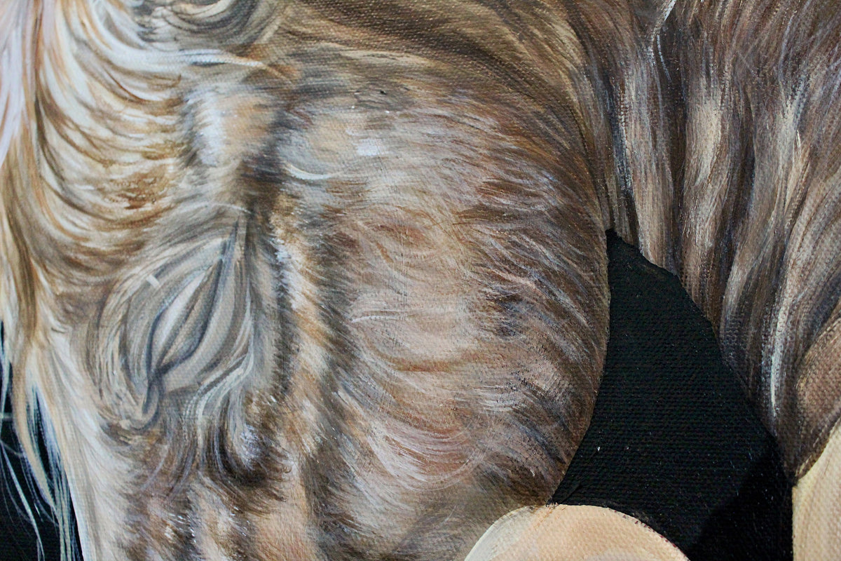 Genesis Collection | Foal Original Animal Painting